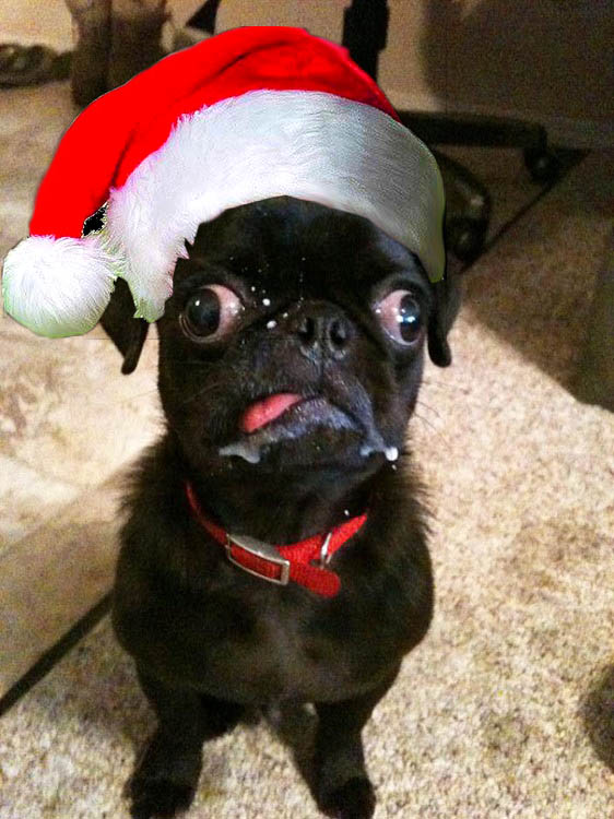 El perrito de Trueba te felicita la navidad